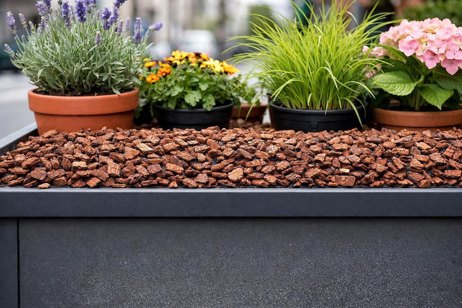 découvrez comment le paillage avec des écorces de pin protège, nourrit et embellit votre jardin naturellement tout en limitant l'arrosage et les mauvaises herbes.